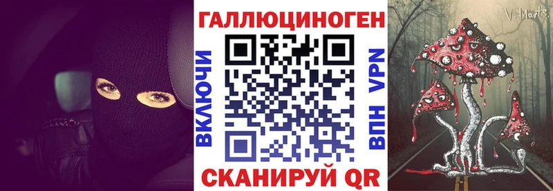 где найти   Альметьевск  Галлюциногенные грибы Psilocybe 