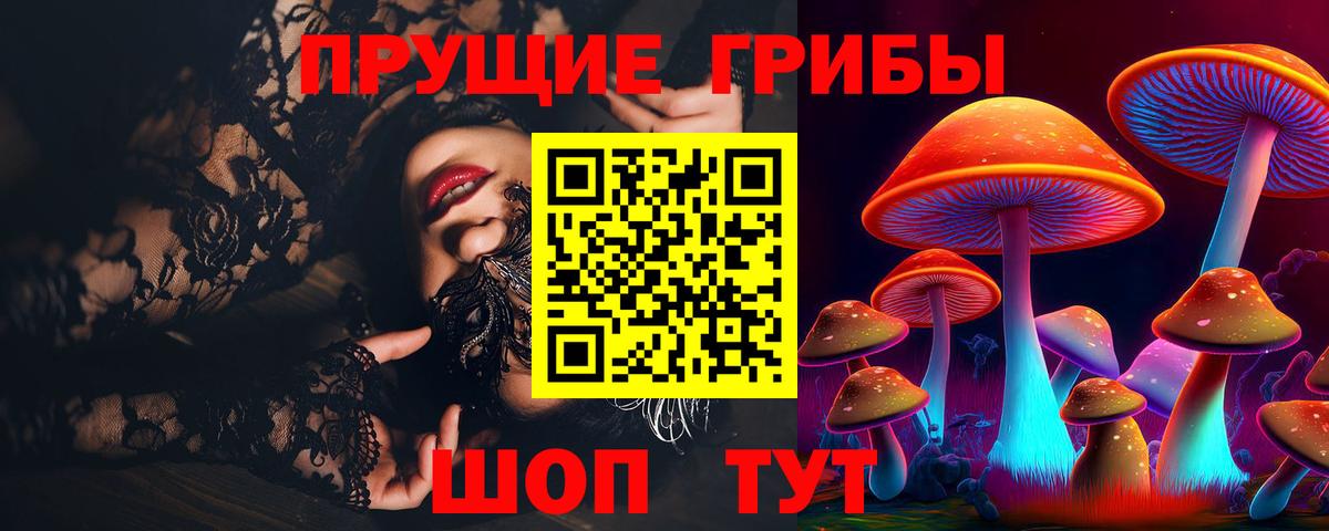 Псилоцибиновые грибы Psilocybine cubensis  Вход с VPN  Альметьевск 