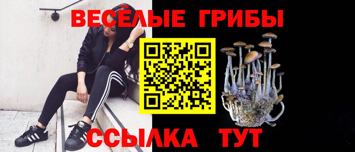 Галлюциногенные грибы мицелий Альметьевск